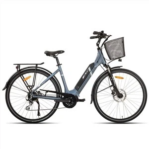 Electric Cruise City Cruiser