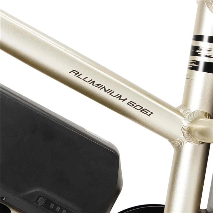 Stadium Electric City Bike