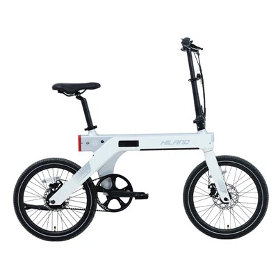 20 collu 36 V 350 W magnija sakausējuma salokāms e-velosipēds