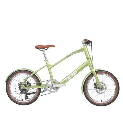 2000w 3000w elektriskais pilsētas velosipēds